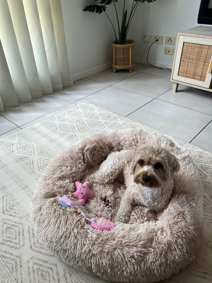 Doggy Comfort Bed: Classic Cream