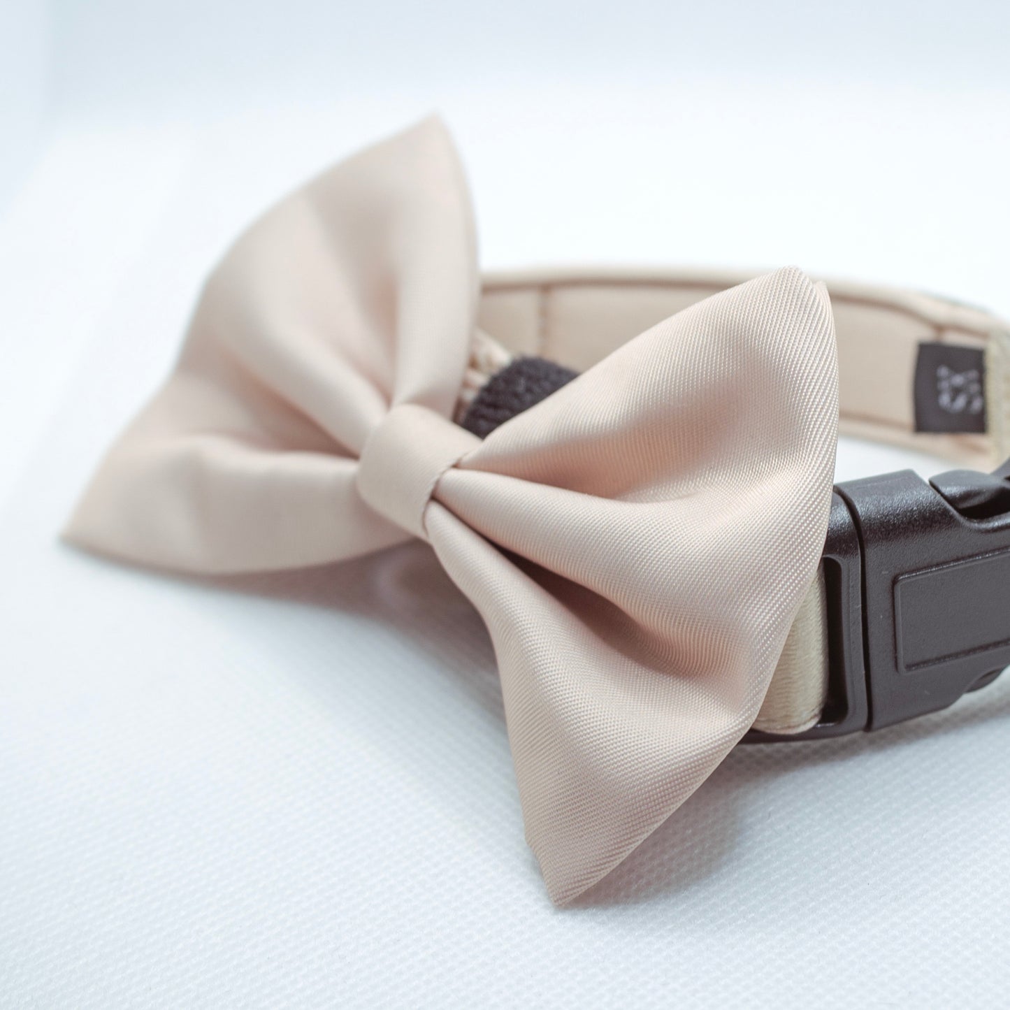 Doggy Bow Tie: Beige