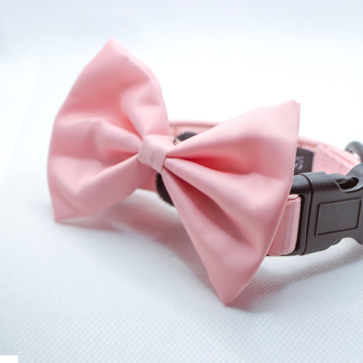 Doggy Bow Tie: Pastel Pink