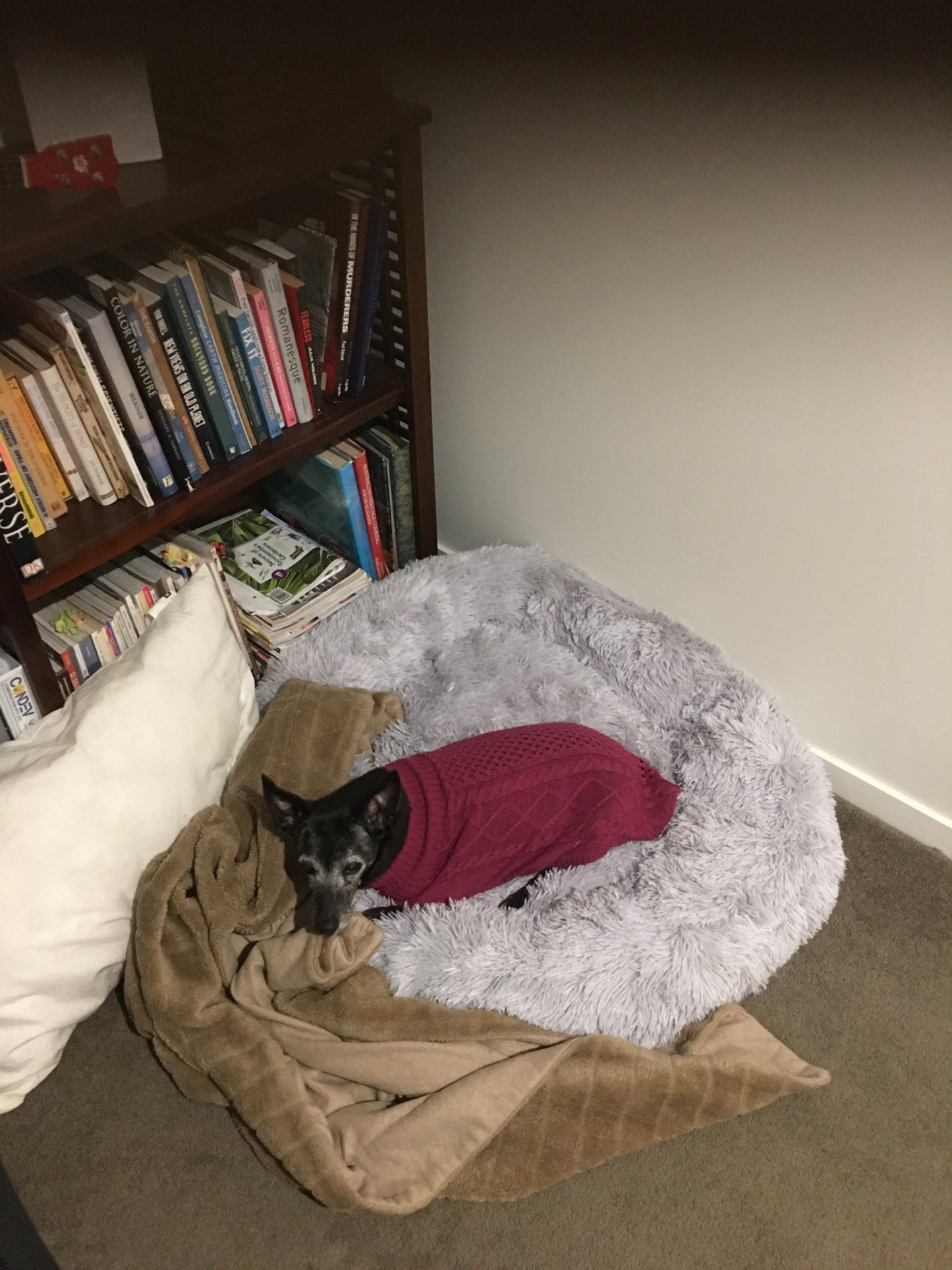 Doggy Comfort Bed: Cool Grey